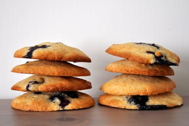 20120725 -饼干怪兽- -蓝莓cookies.jpg最好