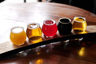 a tasting flight of beer in portland