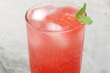 watermelon-mint shrub