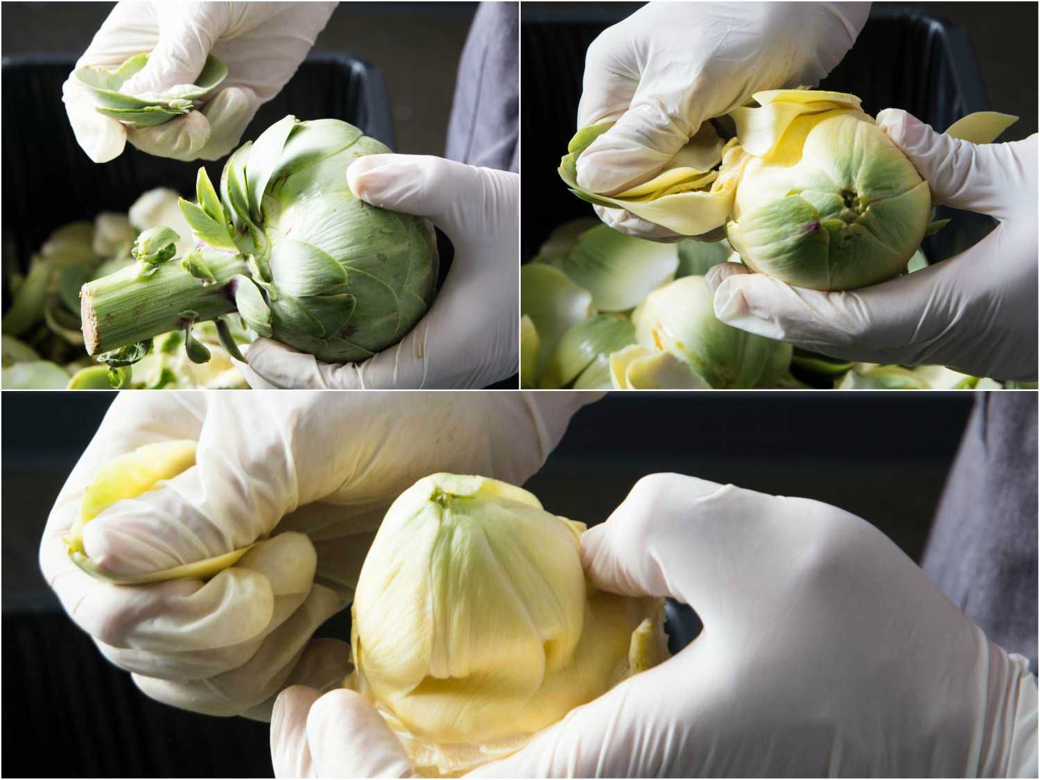 Collage of removing outer leaves (bracts) from artichoke, beginning with tough, green outermost leaves and finishing with softer, yellow leaves inside.