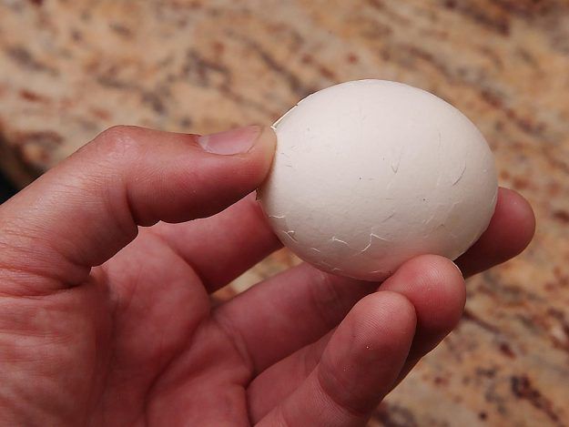 Boiled egg with its shell cracked all over.