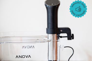 the anova precision sous vide 3.0 on a cambro with a white backdrop