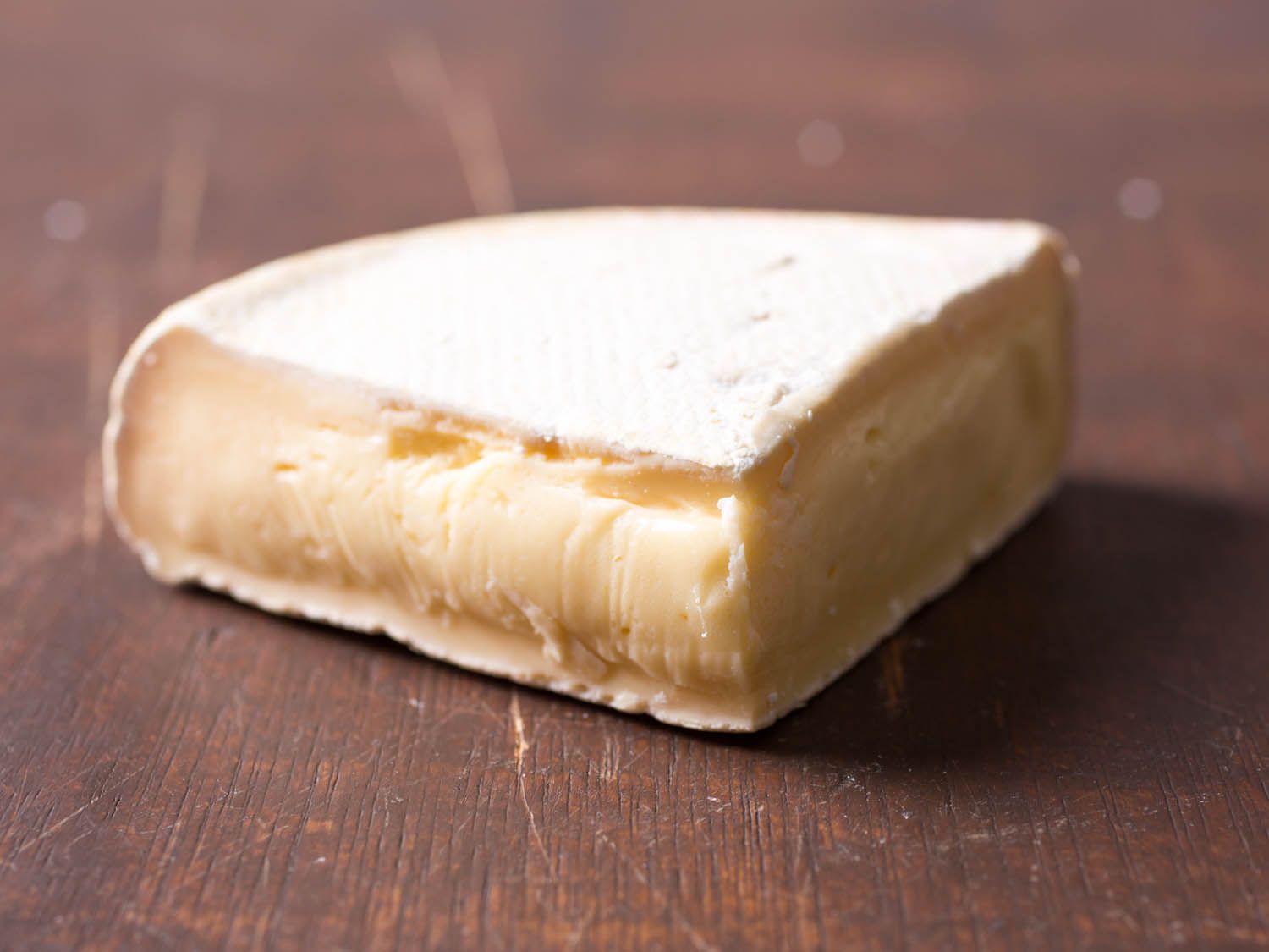 20141021 - cheese101 -南-奶酪-跳舞蕨类植物- sequatchie vicky -沃斯克- 4. - jpg