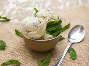 20140701-smoky-honey-mint-chocolate-chip-ice-cream-vicky-wasik-1.jpg