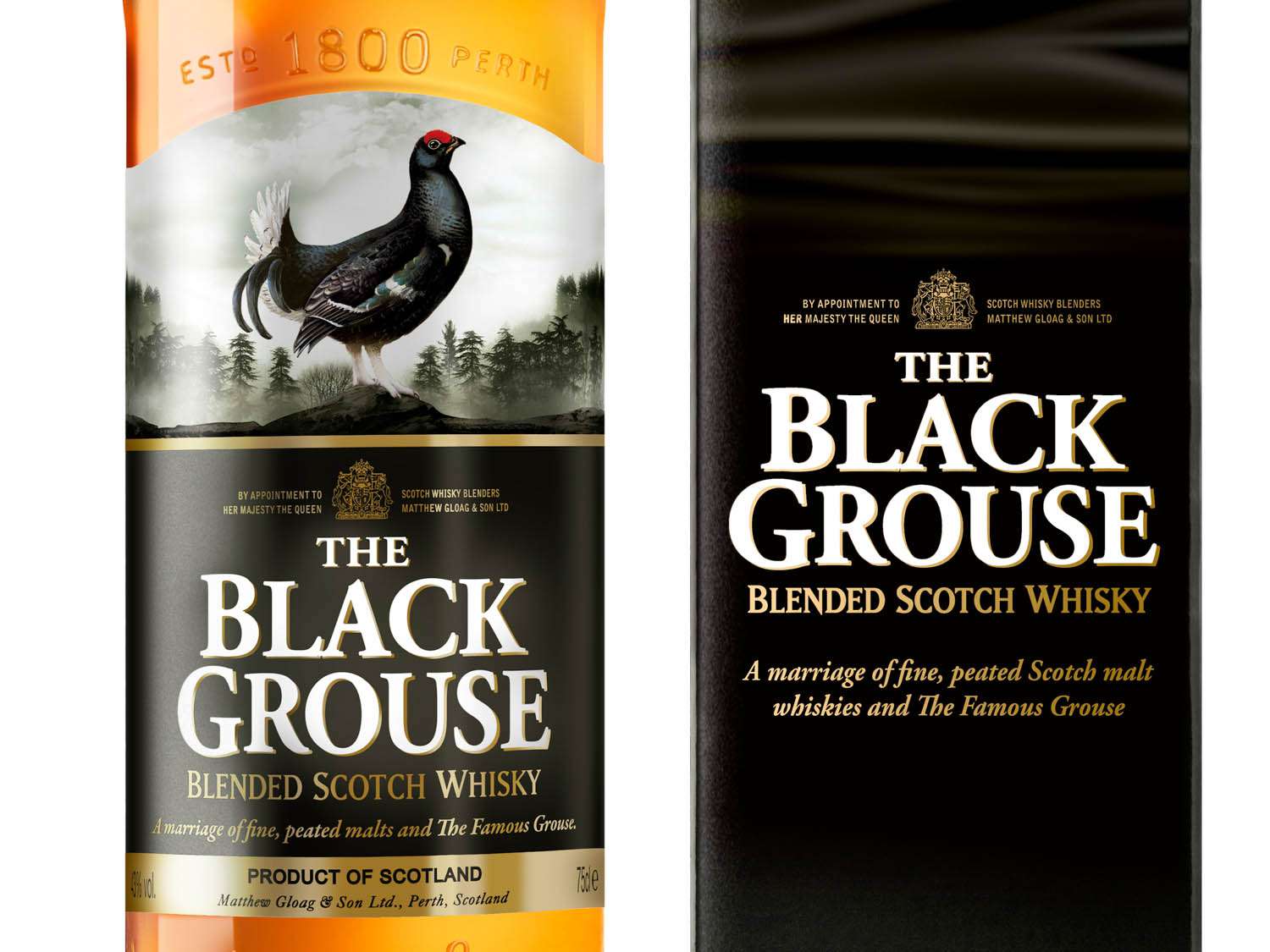 20141015——blackgrouse1.jpg