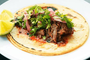 An open barbacoa taco made with two corn tortillas on a plate with pickled onions, cilantro, and a lime wedge