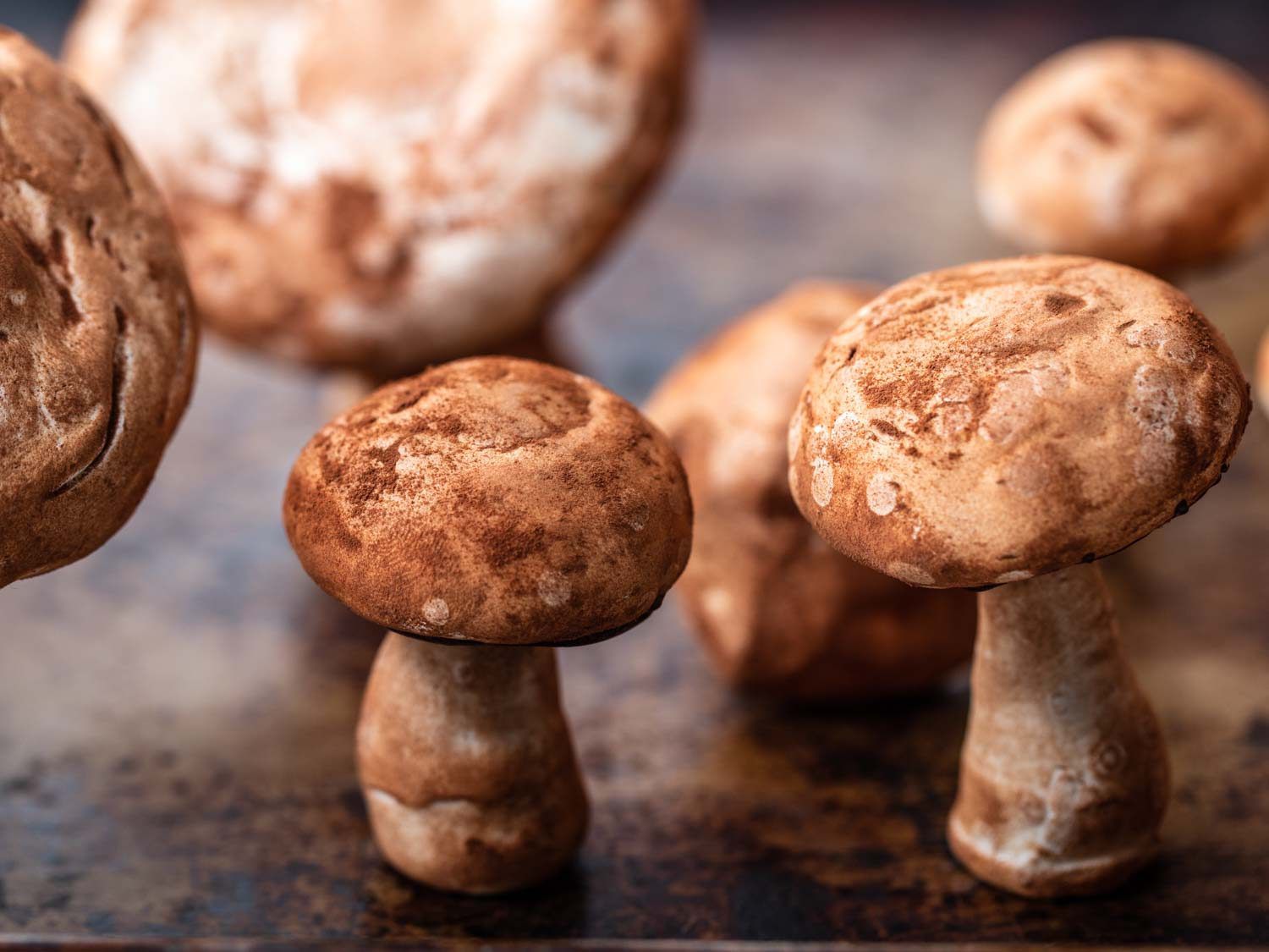 两个蛋白蘑菇的细节，撒上可可粉，看起来很自然