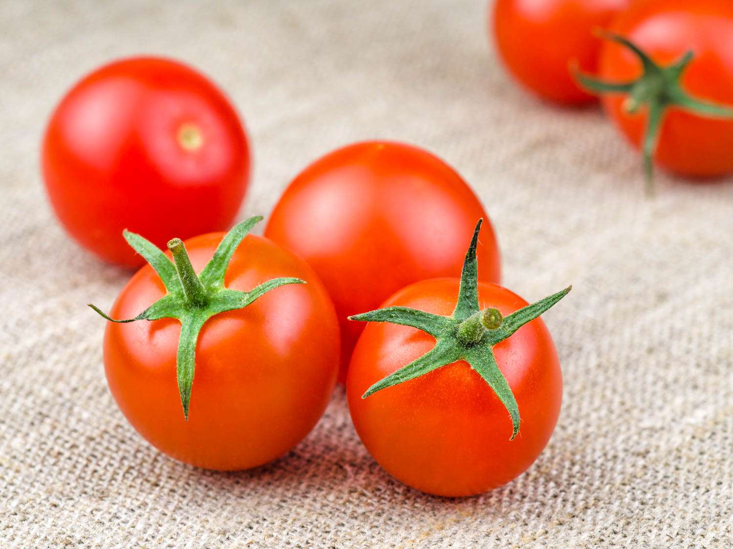 20150622-tomato-guide-cherry-shutterstock.jpg