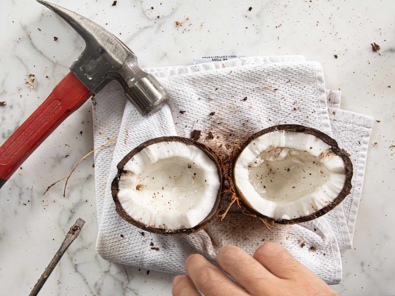 Overhead view of cracked opened coconut