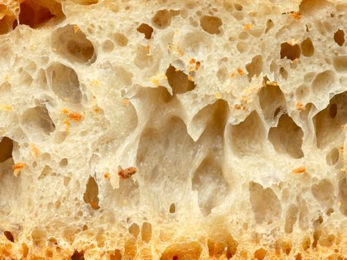 每一条面包和一条满是有一条洞的