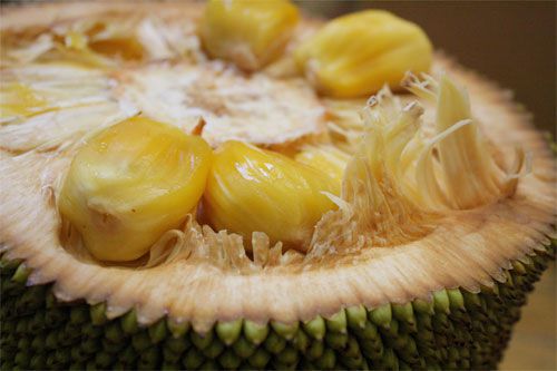 20100805——jackfruit2.jpg