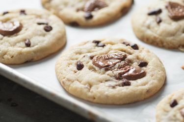 Closeup of cocoa butter cookies topped with cocoa nibs and milk chocolate