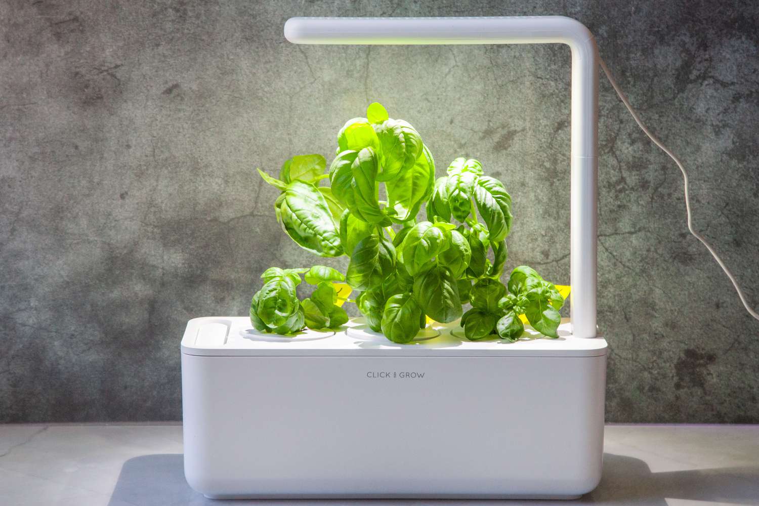 the click and grow herb garden with herbs in it
