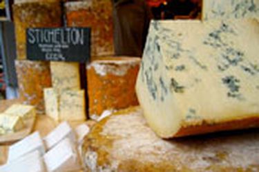 20100112 - seriouscheese thumb.jpg