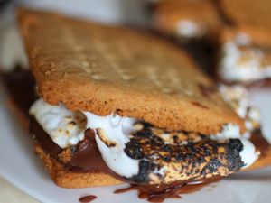 20100608 grahamcrackers1a.jpg