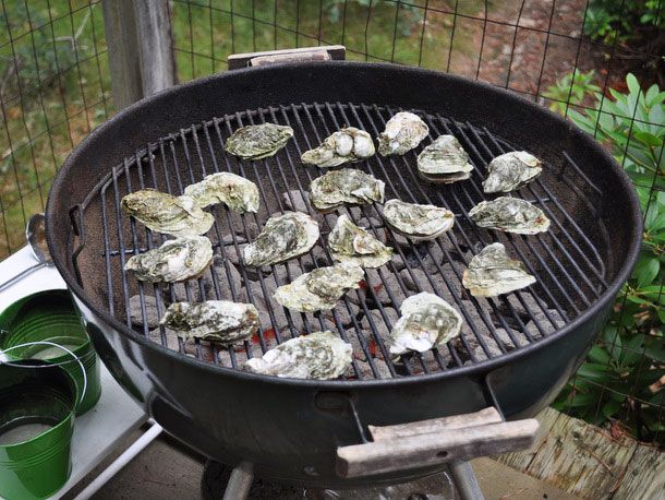 20131010 bbqoysters-primary.jpg