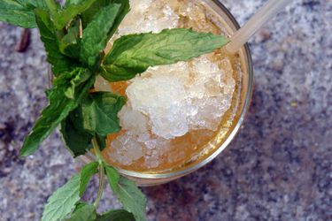 20110322 julepprim.jpg