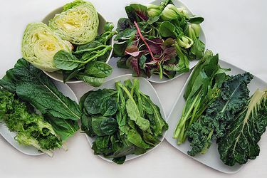 An assortment of different varieties of Chinese greens on five white plates.