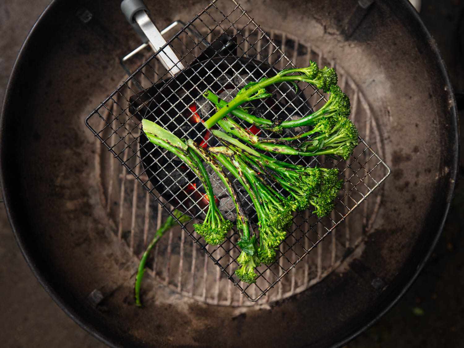 20190619 -木炭烟囱——烤蔬菜-维姬-沃斯克- 5所示
