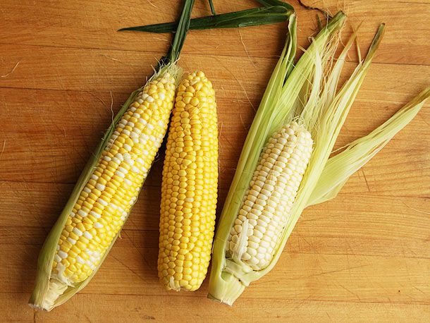 三个玉米品种