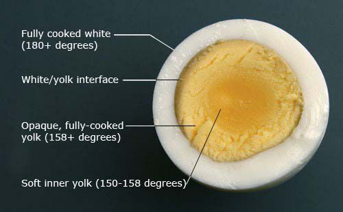 煮得过久的鸡蛋,图显示一个完全煮熟white exterior to a soft inner yolk.