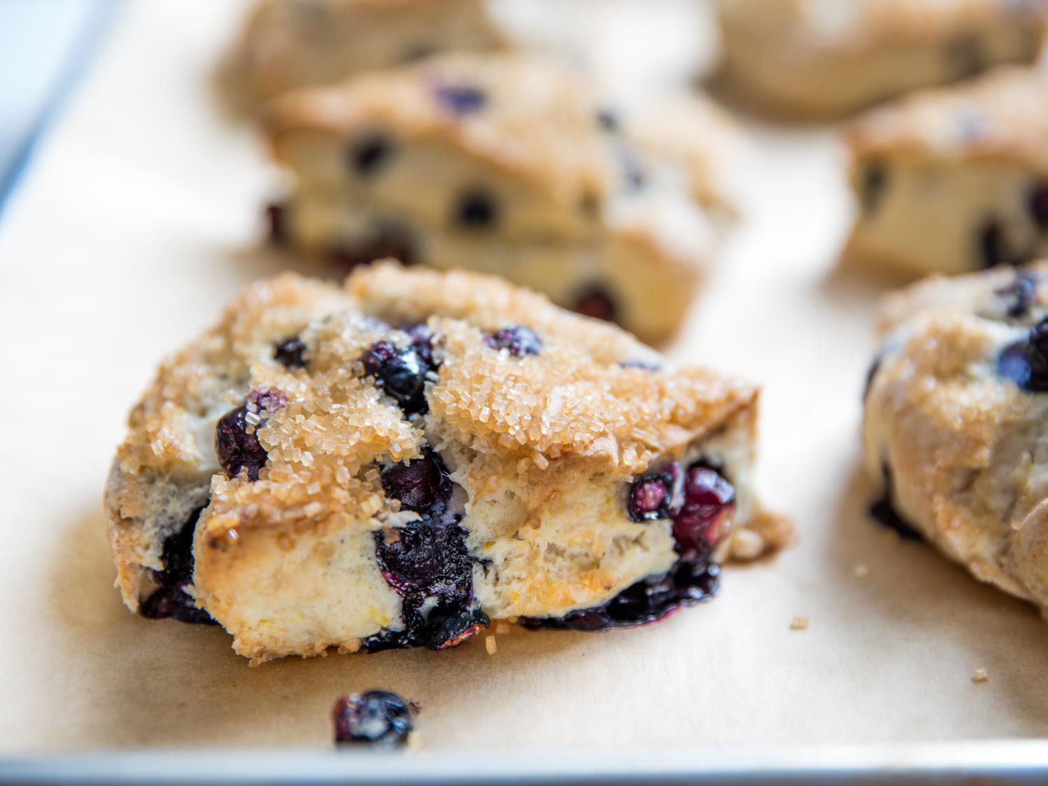 blueberry scones on a baking sheet