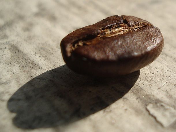 20101013 coffeebean.jpg